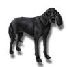 pillars of eternity pet|pillars of eternity black hound.